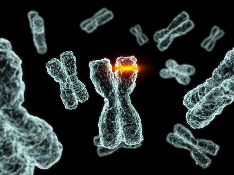 Free Code Camp Bonfire: Mutations