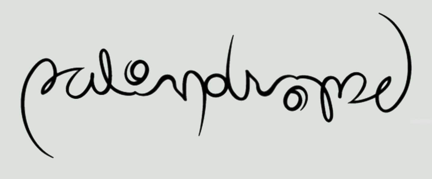 Free Code Camp Bonfire: Palindromes
